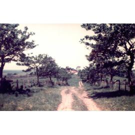 Driveway to 'Bellmont', Dunmore