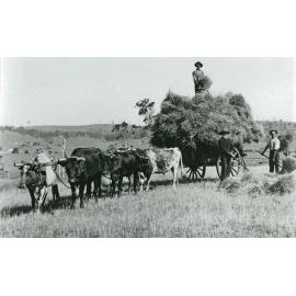 Loading hay at 'Wattle Grove', Albion Park