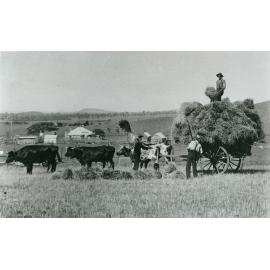 Loading hay at 'Wattle Grove', Albion Park
