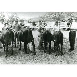 Junior Farmers being judged at Albion Park Show