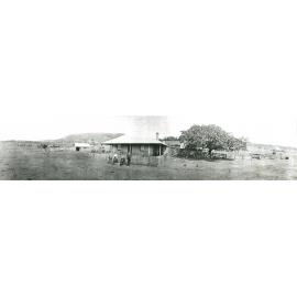 Wattle Grove Farm, Albion Park