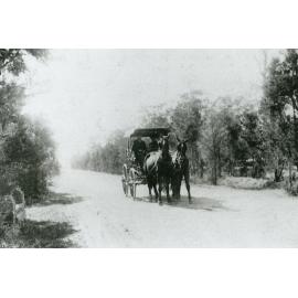Gabriel Timbs' coach after picking up passengers from Albion Park station