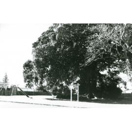Russell East Park, Shellharbour