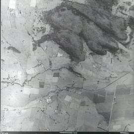 Terragong Swamp