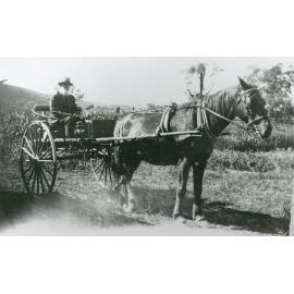 Lionel Hurry driving his sulky horse 'Victor'