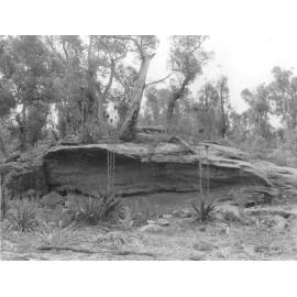 Aboriginal rock shelter site, Illawarra