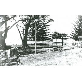 Shellharbour waterfront reserve looking south
