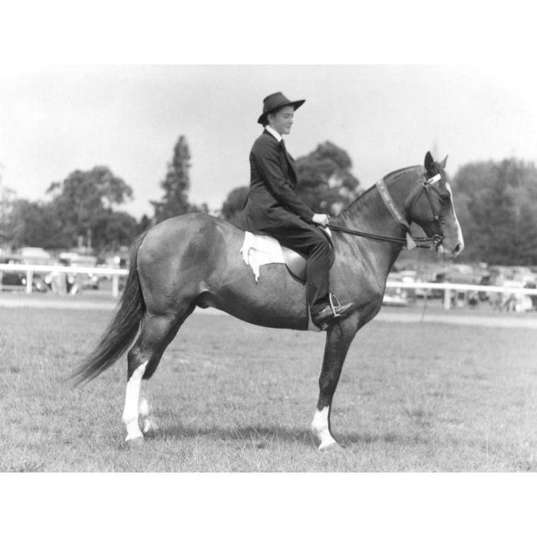 Horse Racing