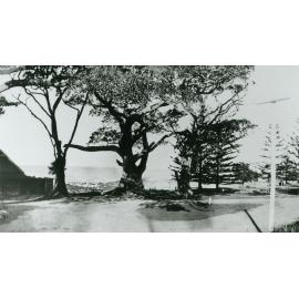Shellharbour foreshore