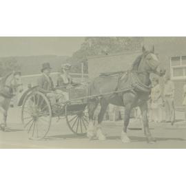 Albion Park Public School Centenary celebrations