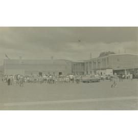 Albion Park Public School