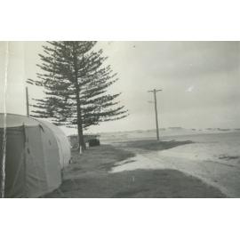 Bassett Park Camp Ground, Shellharbour