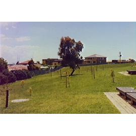 Barrack Heights Public School grounds 1985