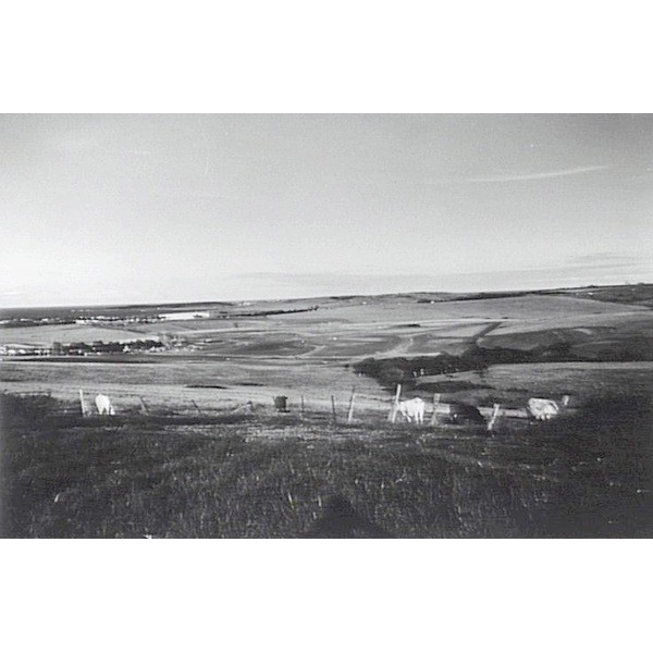 Flinders