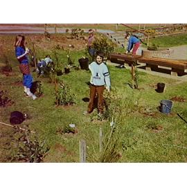 Pupils planting trees at Barrack Heights Public School