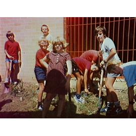 Pupils planting trees at Barrack Heights Public School