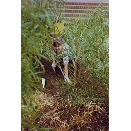 Helen Mullins among trees at Barrack Heights Public School
