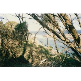 Bushranger's Bay, Bass Point 1985