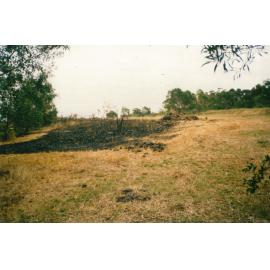 Fire hazard reduction program in Blackbutt Forest Reserve 1987