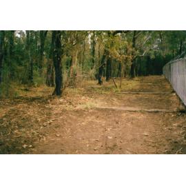 Blackbutt Forest Reserve main track