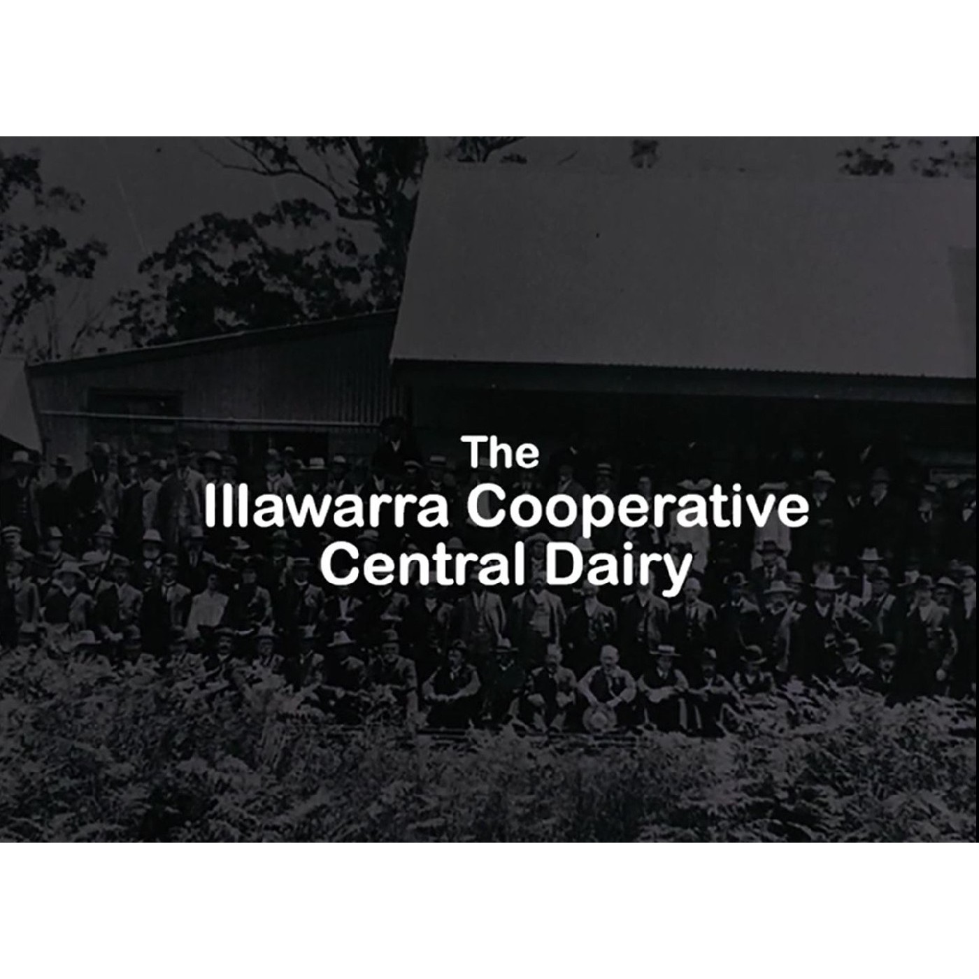 The Illawarra Cooperative Central Dairy Factory
