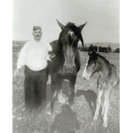 David Timbs 1871-1942