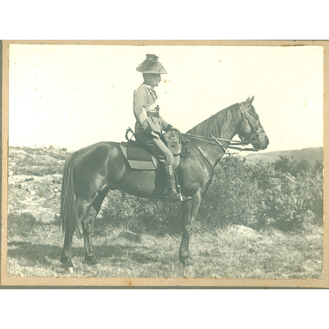 Grey, Theodore James