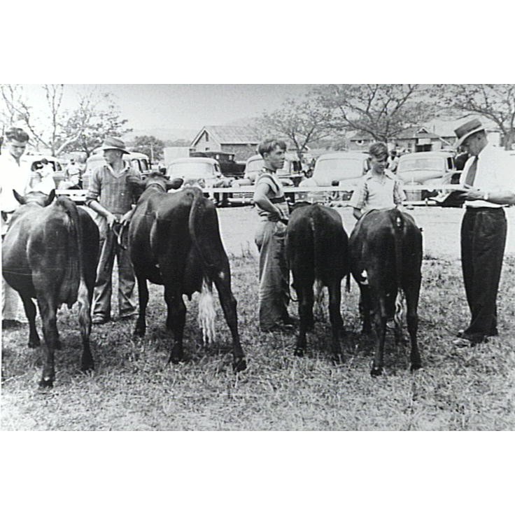 Junior Farmers Club (Rural Youth)