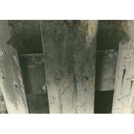 Paling posts on the Mercer site, Albion Park Pioneer Cemetery