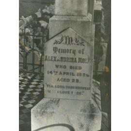 Alexandrina Moles headstone, Albion Park Pioneer Cemetery