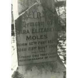 Sara Elizabeth Moles headstone, Albion Park Pioneer Cemetery