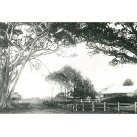 Road to Shellharbour waterfront c.1890