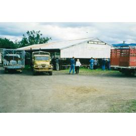 Albion Park Saleyards 1997