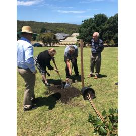 Planting Fig Tree in Shipman's Park