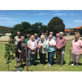 Planting Fig Tree in Shipman's Park