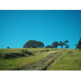 Croom School Site