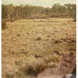 Barrack Heights Prior to Development