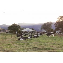 'Fairview', Marshall Mount