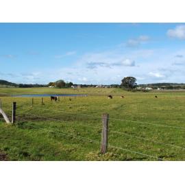 Kings Farm from 'Nancyville', Dunmore