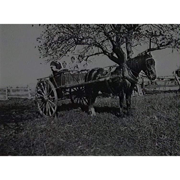 Downes (Francis and Mary Branch)