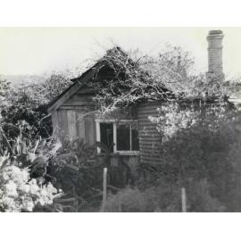 Toongla 