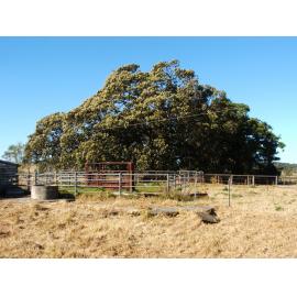 'Glanworth', Dunmore