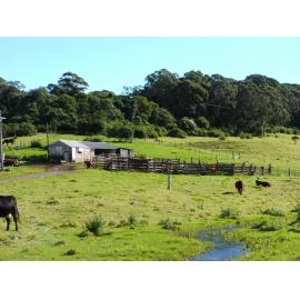 Dairy Bales at 'Nancyville' Farm, Dunmore