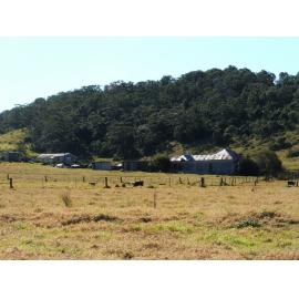 'Nancyville' Farm, Dunmore