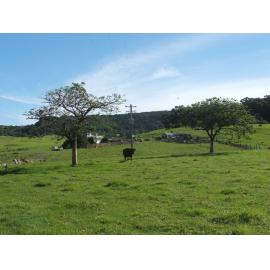 'Nancyville' Farm, Dunmore