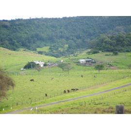 'Nancyville' Farm, Dunmore