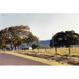 Swan's Farm, Yellow Rock