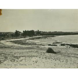 The Beach, Shellharbour