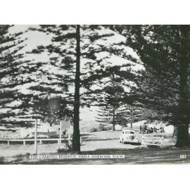 The Camping Reserve, Shellharbour