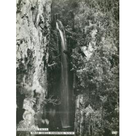 Minnamurra Falls